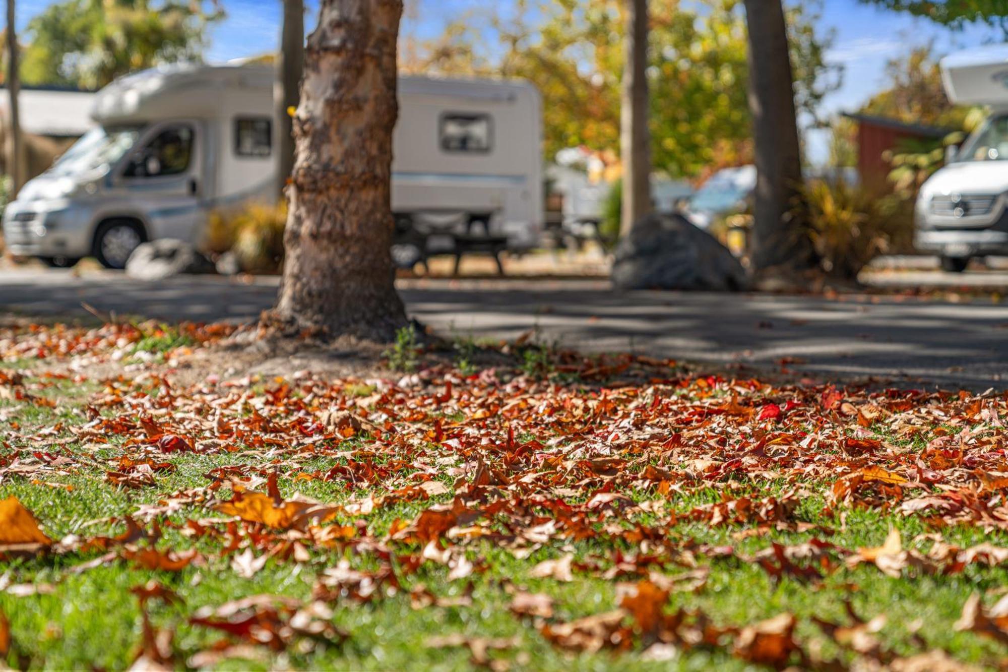 Tasman Holiday Parks - Крайстчёрч Экстерьер фото Autumn leaves on the ground